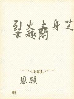 引火上身芝麻糖笔趣阁