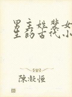 男主姓裴女主重生的古代小说