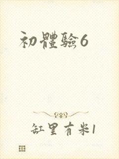 初体验6封面
