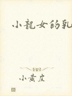小龙女的乳头封面