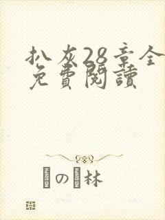 扒灰28章全部免费阅读封面