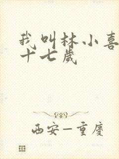 我叫林小喜今年十七岁