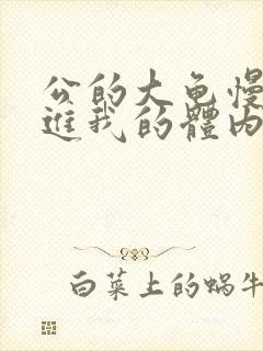 公的大龟慢慢挺进我的体内