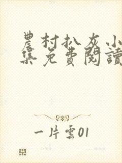 农村扒灰小说全集免费阅读