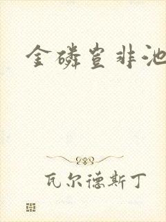 金磷岂非池中物封面