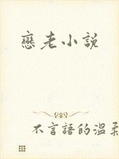 恋老小说