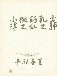 小桃的乳尖被吸得又红又肿封面