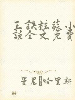 王铁柱苏小汐小说全文免费阅读最新章节