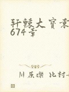 轩辕大宝袁雪妃674章封面