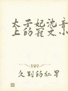 太子妃沈音和皇上的宠文小说