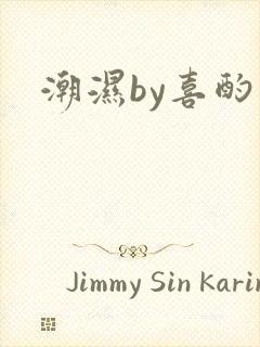 潮湿by喜酌封面