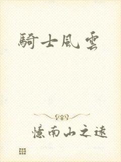 骑士风云封面