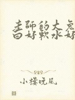 老师的大兔子好白好软水好多