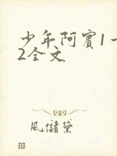 少年阿宾1一72全文