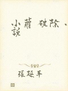 小萝 破除 小说
