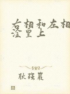 右相和左相一起淦皇上
