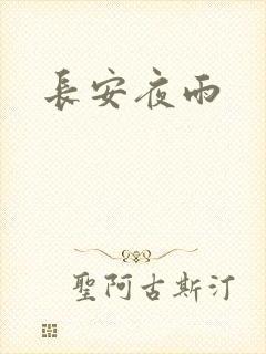 长安夜雨