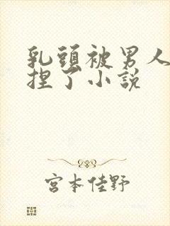 乳头被男人使劲捏了小说