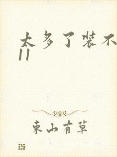 太多了装不下H11