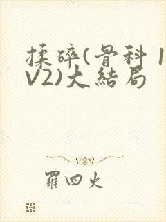 揉碎(骨科 1V2)大结局