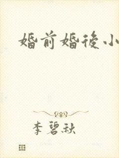 婚前婚后小说封面