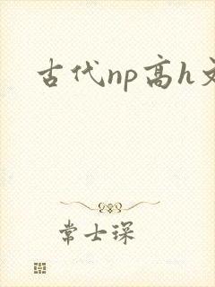 古代np高h文封面