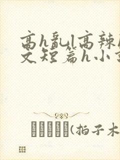 高h乱l高辣h文短篇h小说