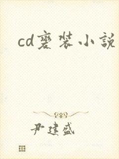 cd变装小说