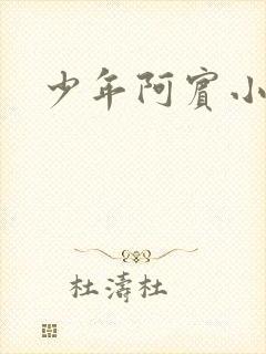 少年阿宾小说