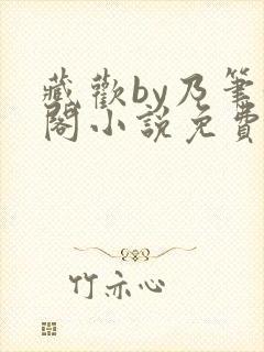 藏欢by乃笔趣阁小说免费阅读