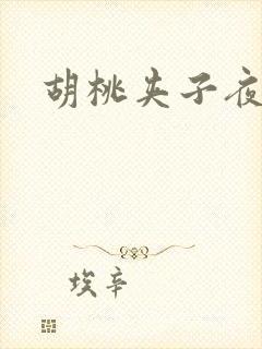 胡桃夹子夜未眠封面