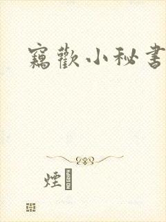 窃欢小秘书