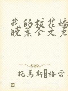 我的校花娇妻秦晓叶全文免费阅读