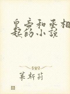 皇帝和丞相在一起的小说