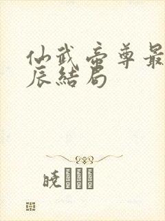 仙武帝尊最后叶辰结局封面