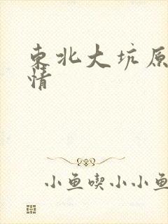 东北大坑原始激情