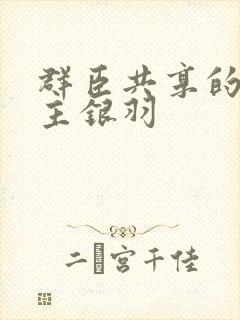 群臣共享的小公主银羽封面