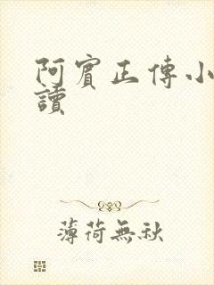 阿宾正传小说在读封面