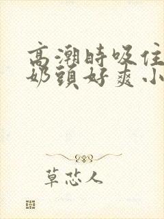 高潮时吸住我的奶头好爽小说