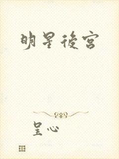 明星后宫封面