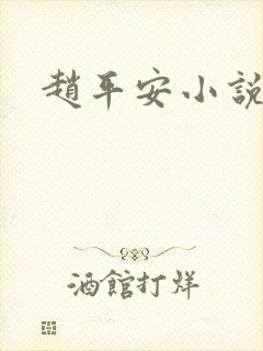 赵平安小说主角