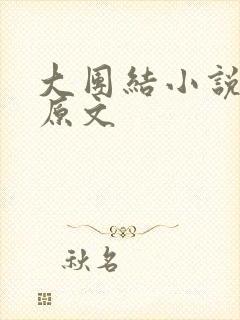 大团结小说阅读原文