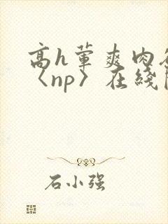 高h荤爽肉欲文〈np〉在线阅读