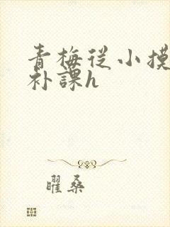 青梅从小摸到大补课h
