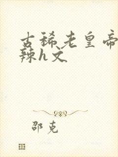 古稀老皇帝h高辣h文