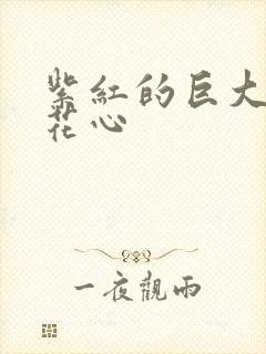 紫红的巨大顶开花心