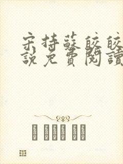 宋持苏皎皎的小说免费阅读封面