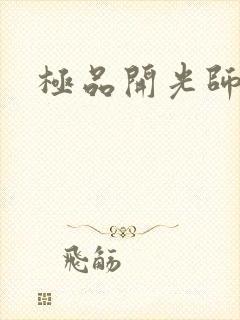 极品开光师