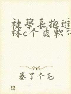 被学长抱进小树林c个爽软件