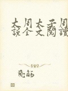 大周太子周铮小说全文阅读笔趣阁